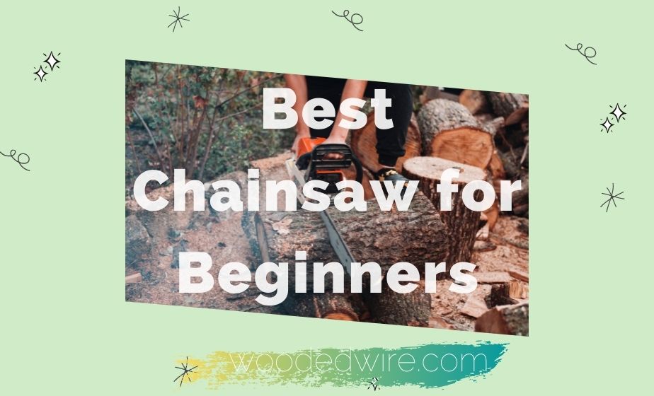 Best Chainsaw for Beginners