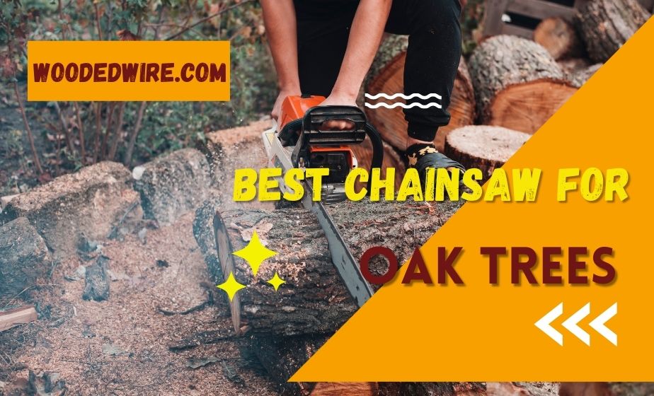 Best Chainsaw For Oak Trees